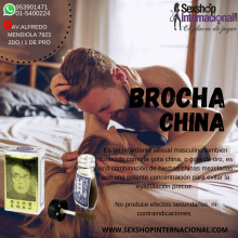 BROCHA CHINA PINCEL RETARDANTE